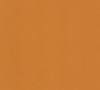 Burnt Orange 9981