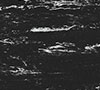 Black Grey 8990
