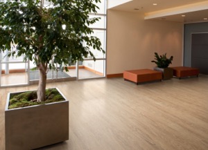 Hazel Oak 9879