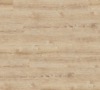 Champagne Oak 9874