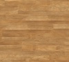 Golden Koa 4403