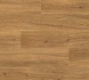 Schoolhouse Oak 4434