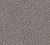 Siltstone 4205