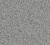 Silver Birch 4020