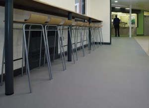 Dolphin Grey 5203