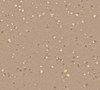 Caramel Latte 5213
