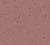 Summer Coulis 5217