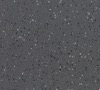 Blackbird 5560