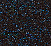 Galactic 4815