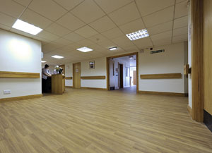 European Oak 3342