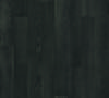 Nero Oak 3371