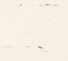 Dove White 2700
