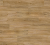 Evergreen Oak 3442