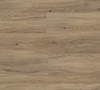 Coastal Driftwood 4453