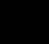 Black 9510
