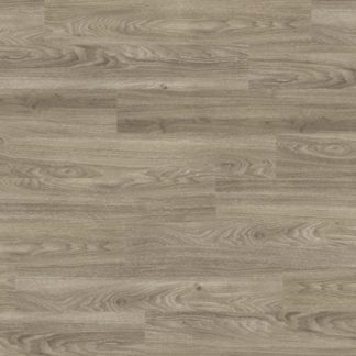 Light Elm 4034