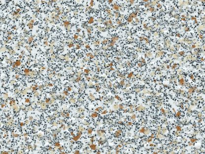 Bisque H4860