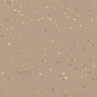 Caramel Latte 5213