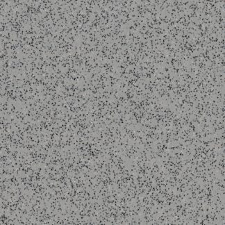 Silver Birch 4020