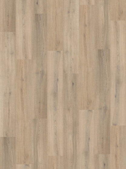 Naked Blond Oak PLK4144