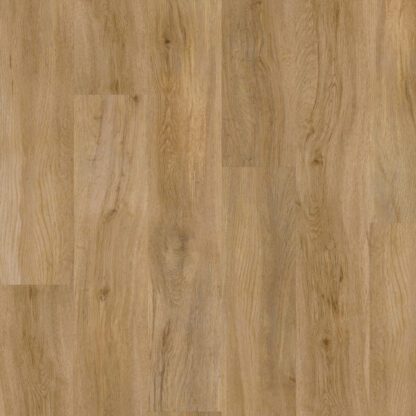 Evergreen Oak 4159