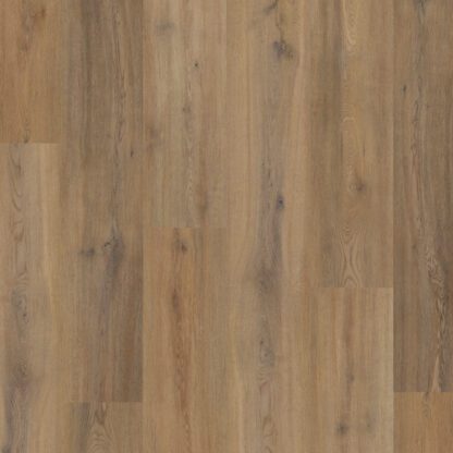 Story Oak 4389