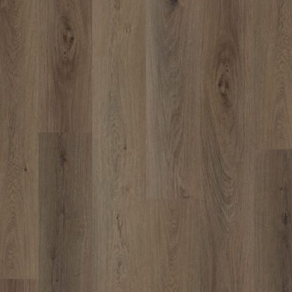 Bowland Oak 4391