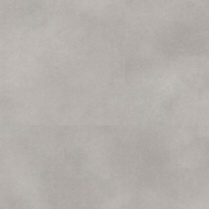 Light Grey Concrete 9070