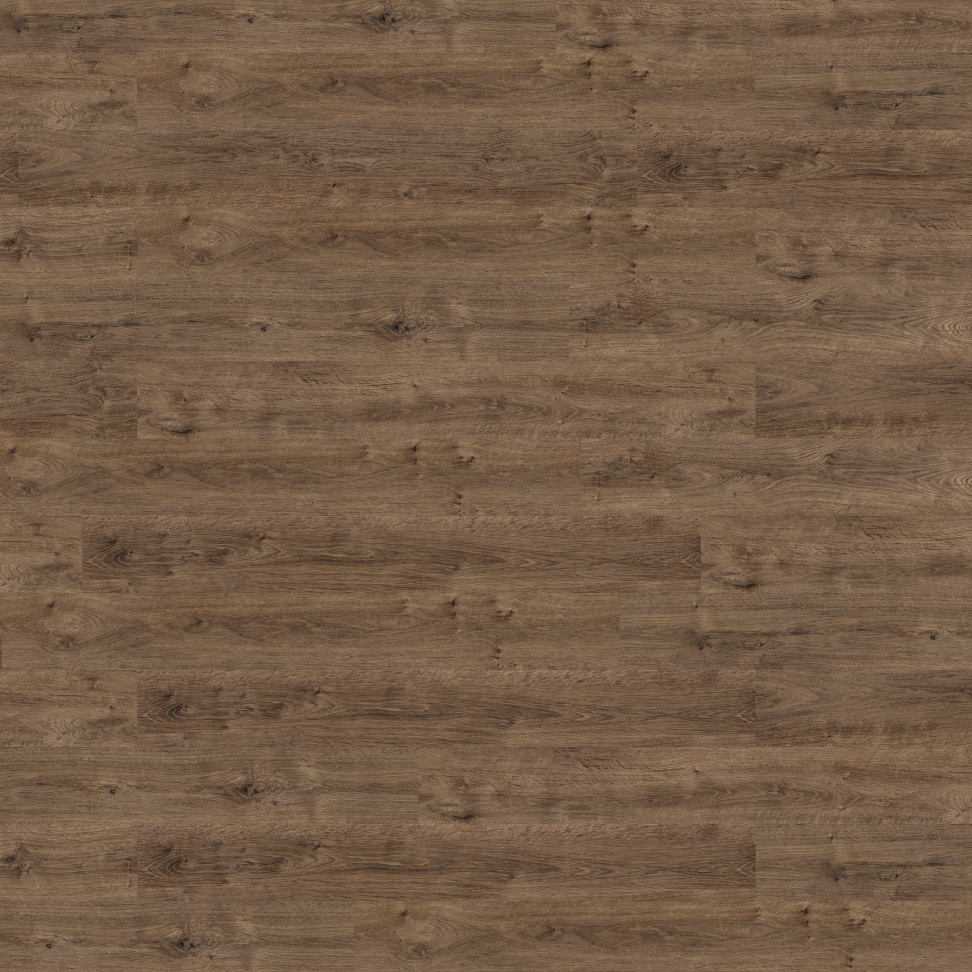 Dark Classic Oak 4088 - Polyflor Canada Inc.