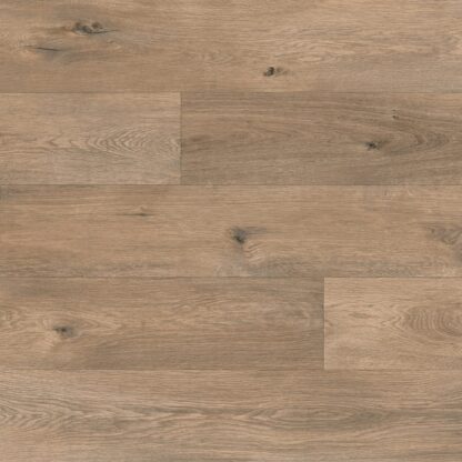 Bracken Oak 9674