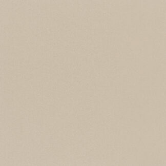 Beige Mono 2580