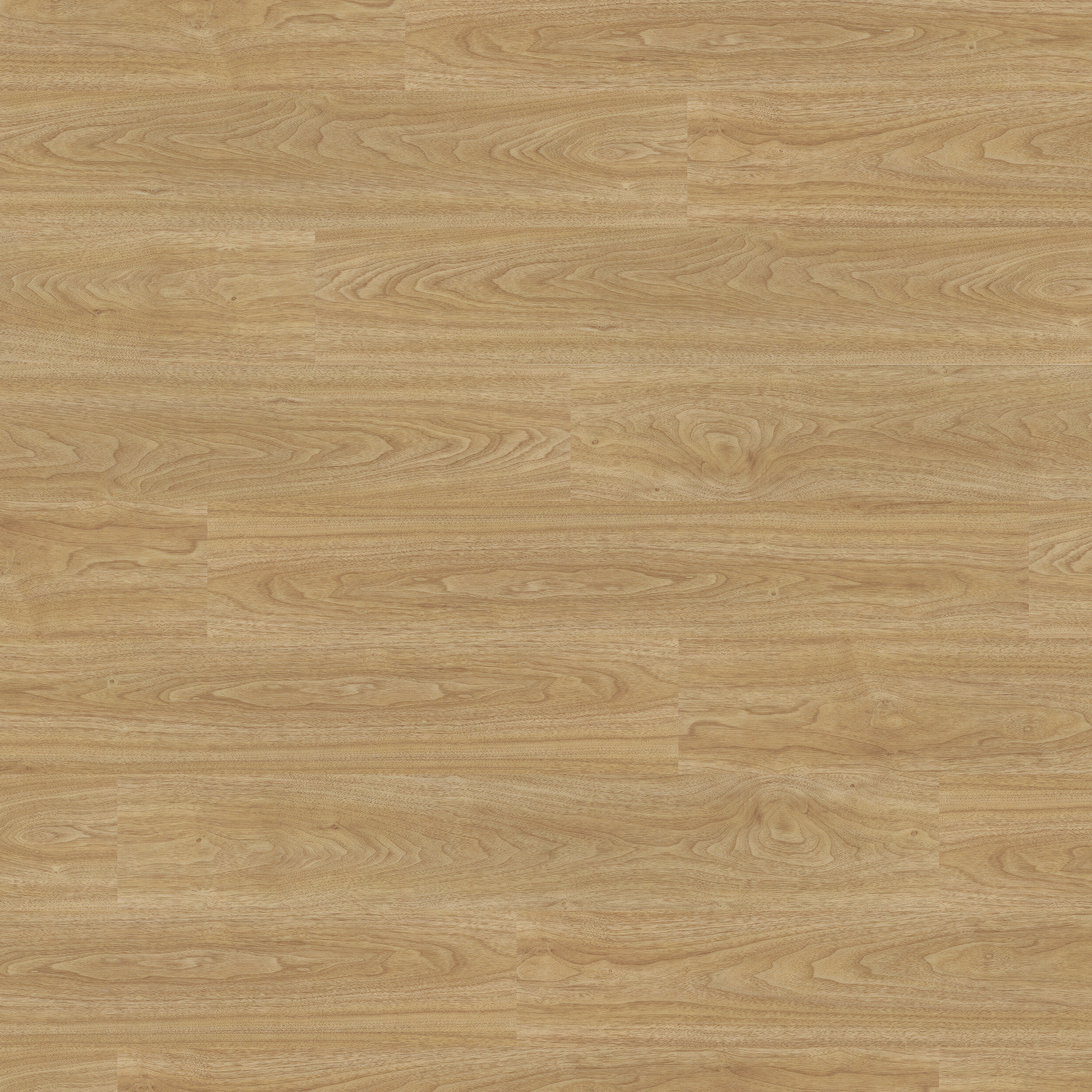 American Oak 4059