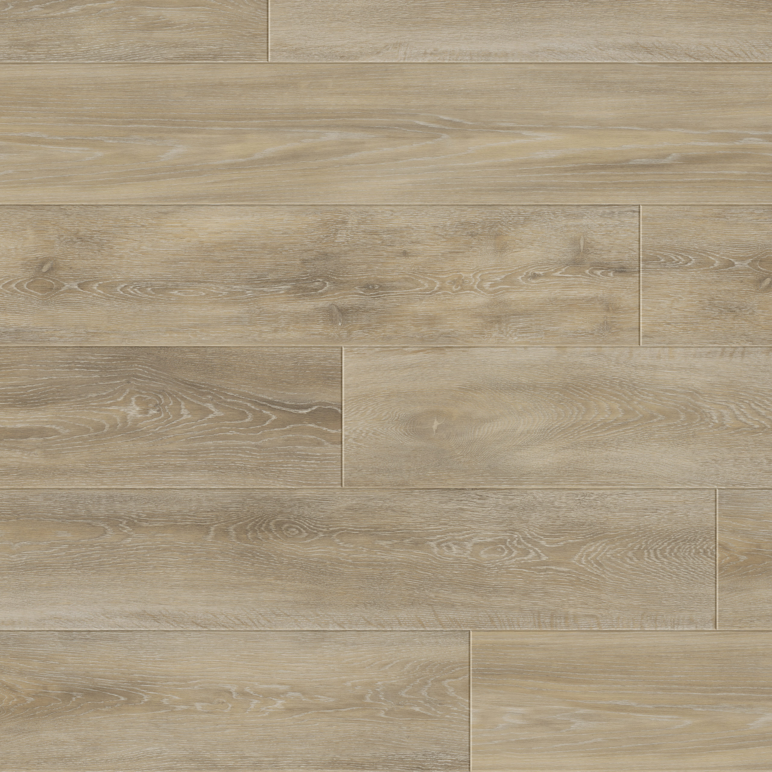 Laurel Limed Oak 2819