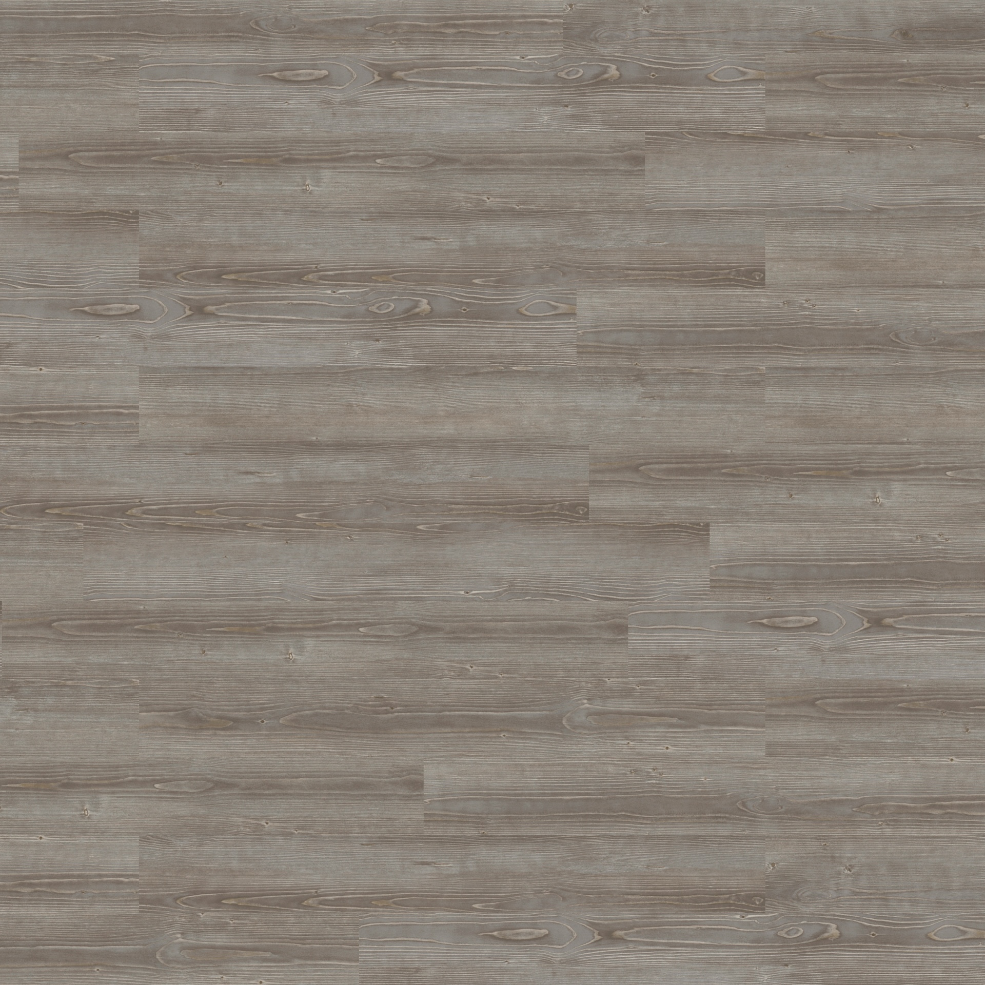 Grey Pine 4063