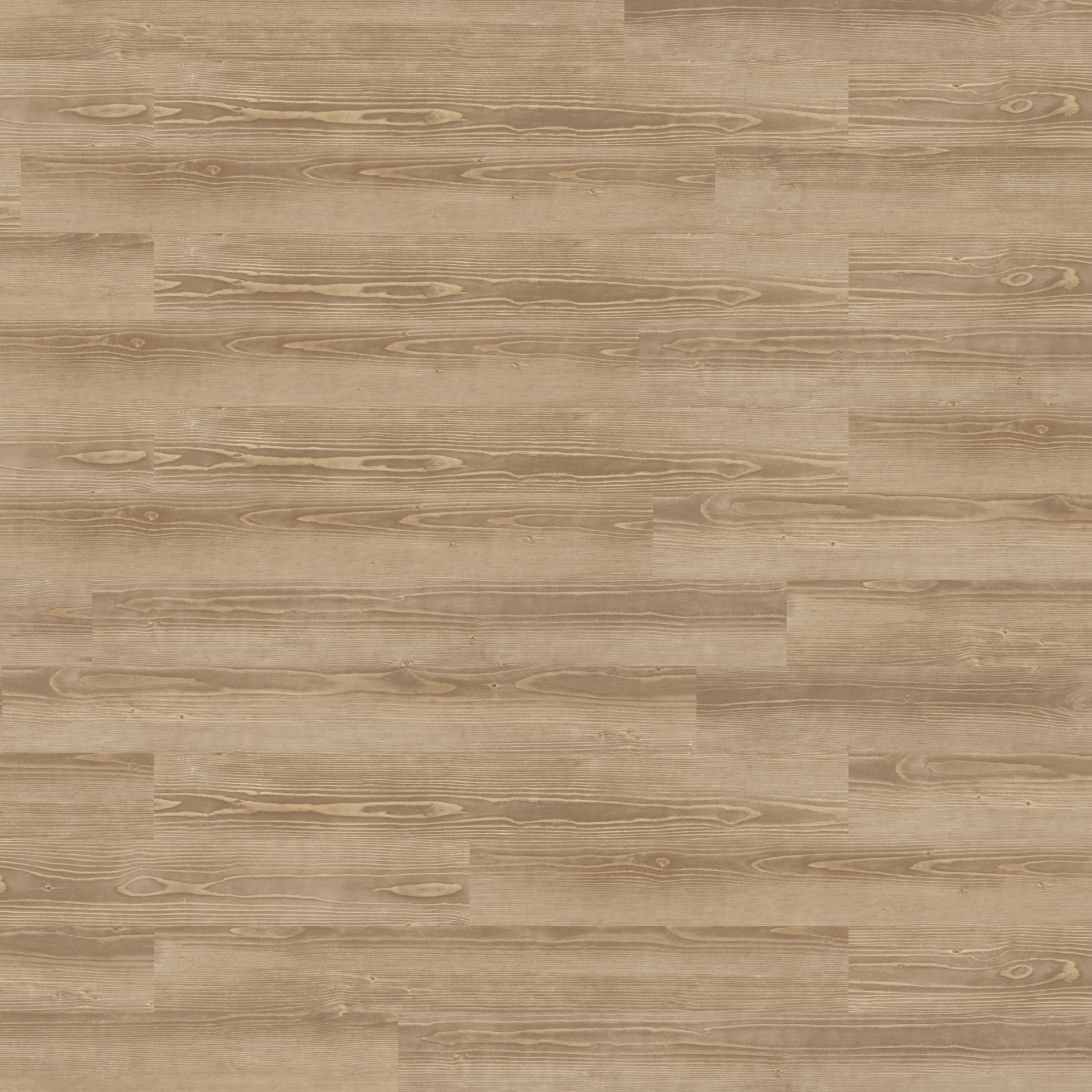 Light Pine 4061