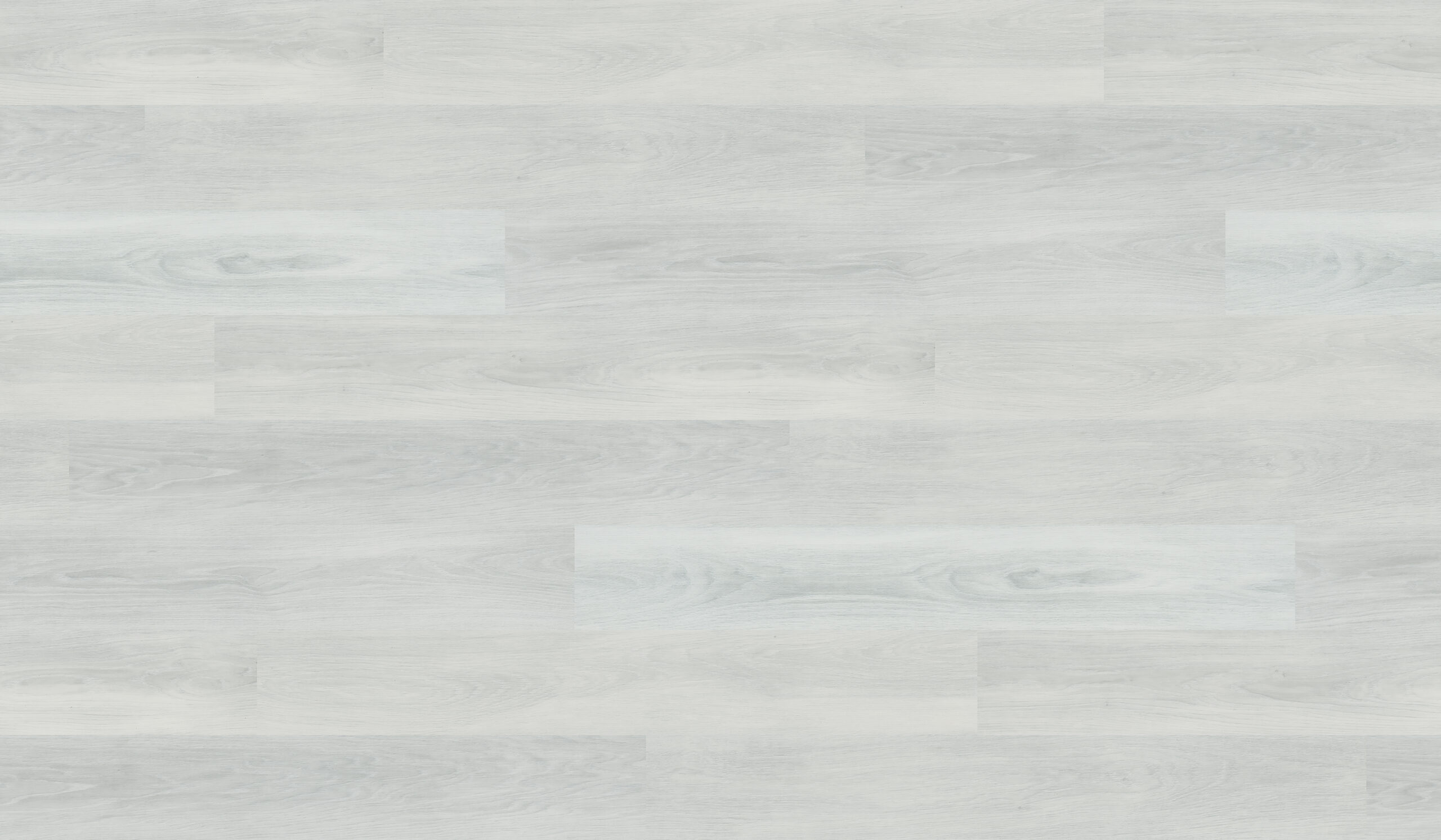 White Ash 2574